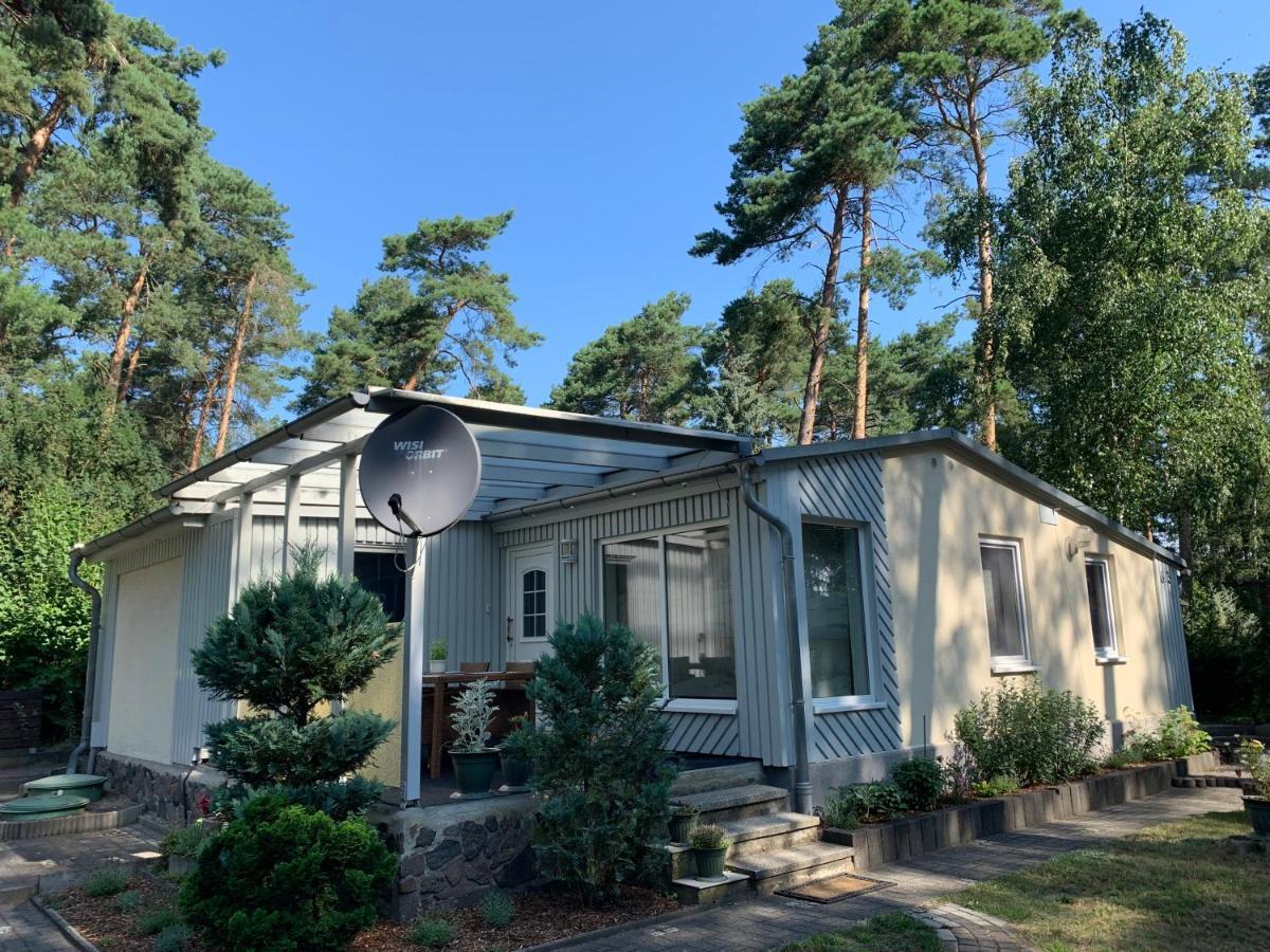 Waldidyll Ferienhaus